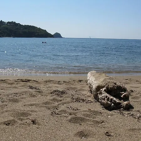Gli Oleandri *