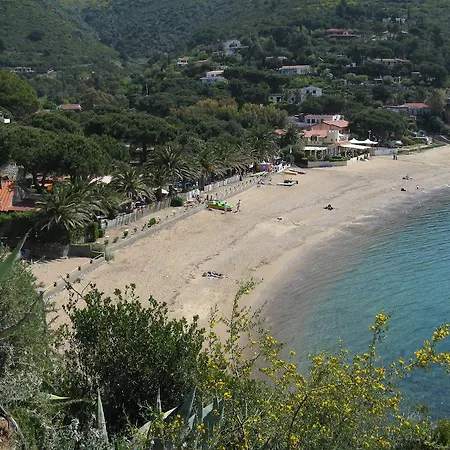 Gli Oleandri *